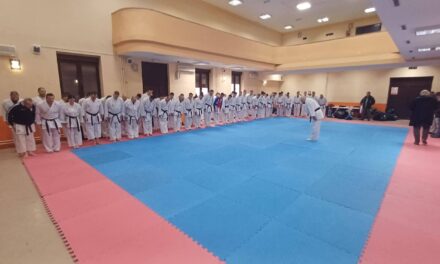 U Modriči održan Edukativno-licencni seminar za trenere, ispitivače, sudije i delegate